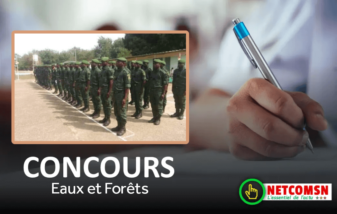 Convocations Disponibles Pour Le Concours Eaux Et For Ts Netcomsn