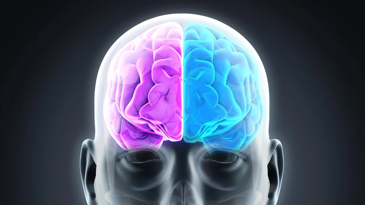 PLAISIR et SOUFFRANCE, entre les deux notre cerveau balance