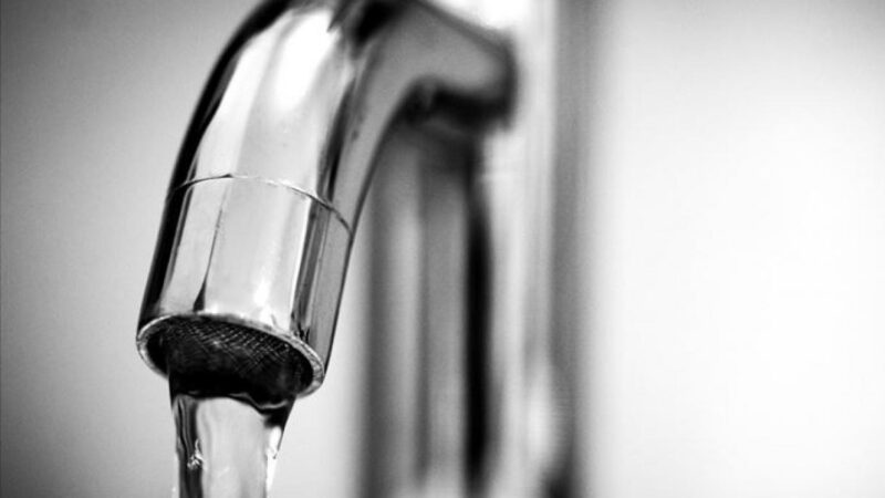 Etats-Unis: une amibe “mangeuse de cerveau” dans l’eau potable au Texas
