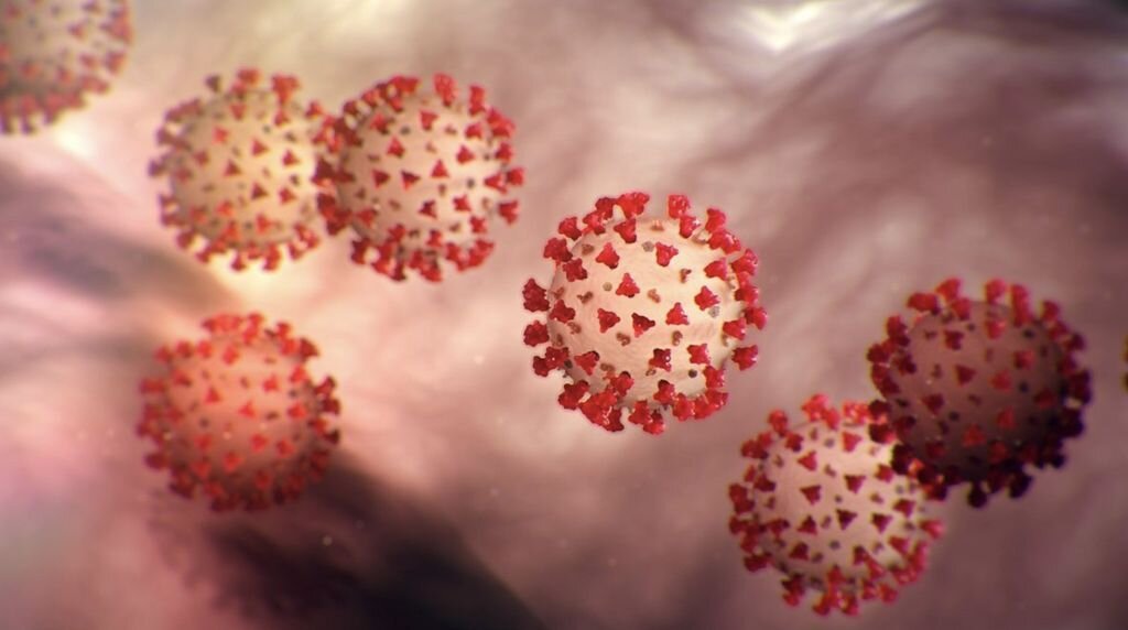 Pourquoi la nouvelle souche du coronavirus inquiète les épidémiologistes ?