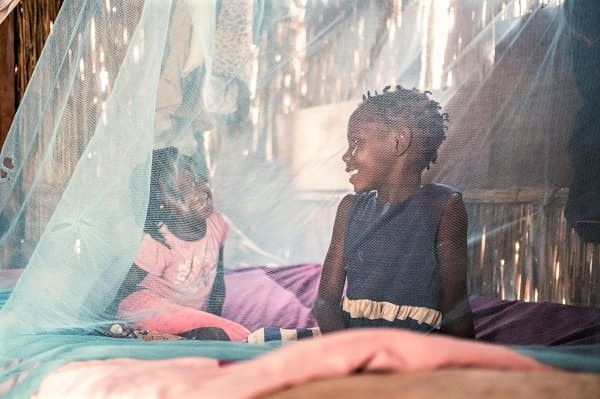 En Afrique subsaharienne, le paludisme tuera plus de personnes que le coronavirus, prévient l’OMS