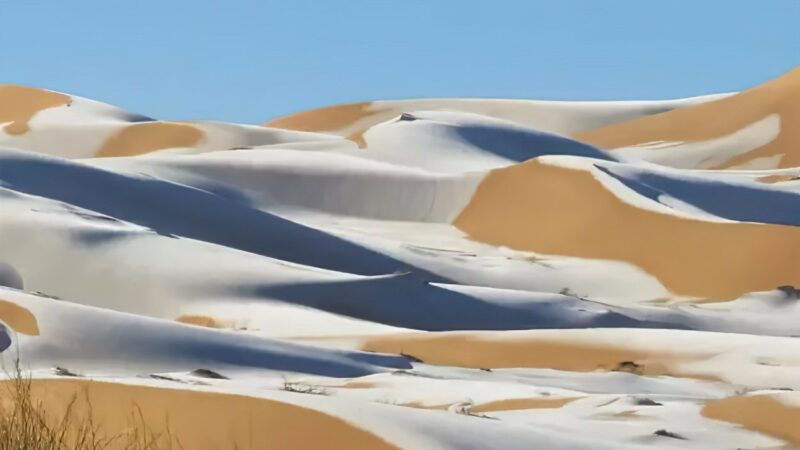 Il a neigé aux portes du Sahara en Algérie