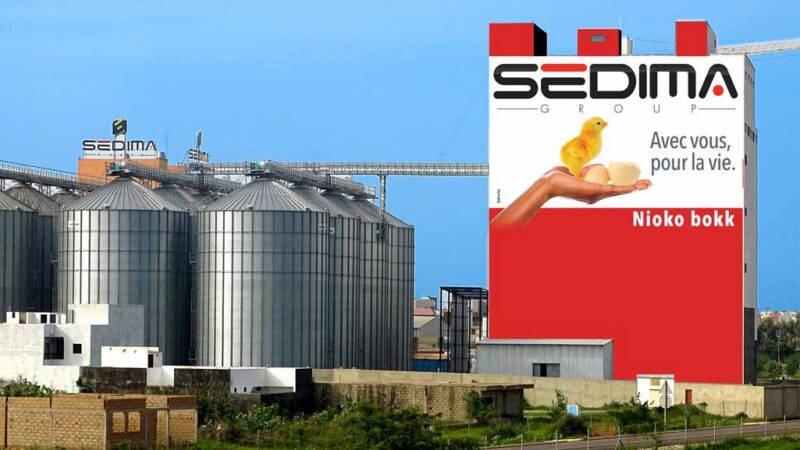 VOL DE 18 TONNES DE POULETS À LA SEDIMA – LE RESPONSABLE DE L’ENTREPÔT JUGÉ