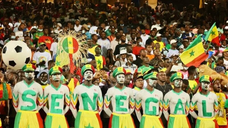 🇸🇳 CAN 2022 : S.E.N.E.G.A.L, l’histoire des 7 lettres qui supportent les Lions