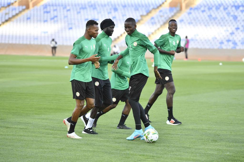 🇸🇳 Premier galop des Lions à Marrakech (IMAGES) 3 1647900904 6238f8e865a06