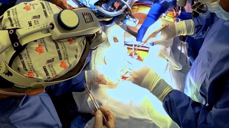 🇺🇸 Le premier patient au monde à avoir reçu une greffe de cœur d’un porc est décédé