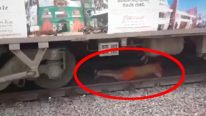 🇮🇳 Un homme tombe sur les rails et survit au passage d’un train, les images du « miracle » (vidéo)