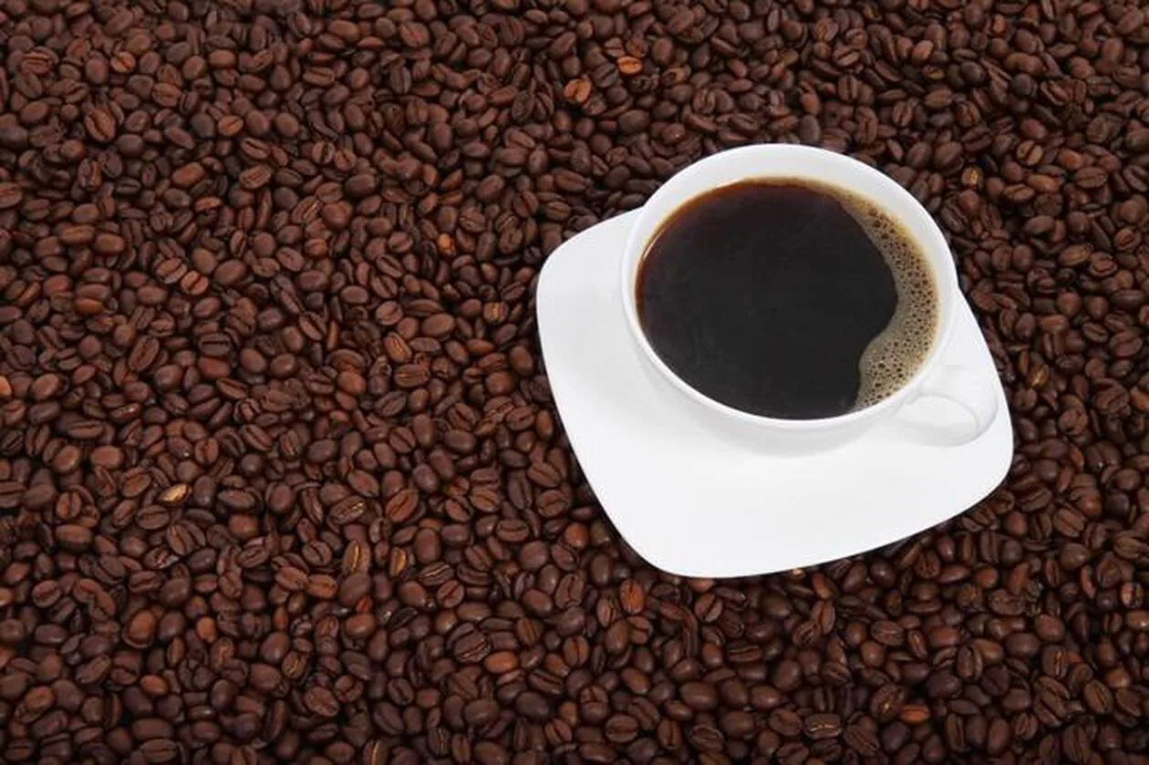 🇺🇸 Pour faire face au réchauffement climatique, une entreprise a créé du café… sans café 1 🇺🇸 Pour faire face au réchauffement climatique, une entreprise a créé du café… sans café