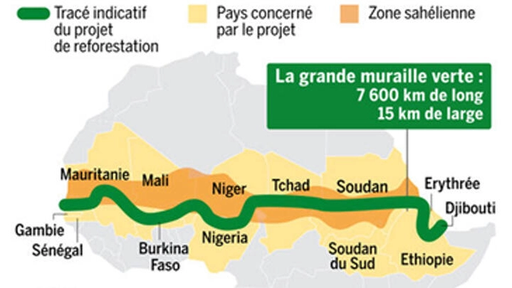 🇬🇲 La Gambie plante un millier d’arbres dans le cadre de la grande muraille verte africaine