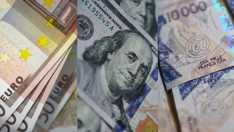 🇸🇳 Parité Dollar-Euro : « On va inéluctablement vers une hausse généralisée des prix… »