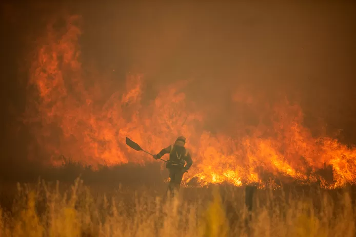🔥 L'Europe est devenue un haut lieu des canicules: “La région se réchauffe trois à quatre fois plus vite qu'ailleurs” 8 telechargement 2022 07 18T120556.430