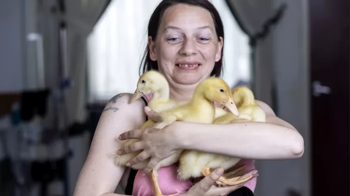 🏴 (Vidéo) Elle fait éclore des œufs du supermarché et se retrouve avec trois canetons 1 🏴 (Vidéo) Elle fait éclore des œufs du supermarché et se retrouve avec trois canetons