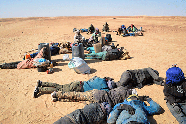 🇸🇳 Expulsés par l’Algérie, 115 Sénégalais en galère dans le désert nigérien