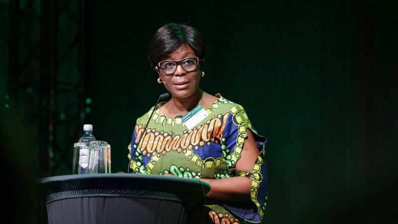 🇨🇬 Quand la ministre de l’Environnement du Congo-Brazzaville claque la porte de la COP27
