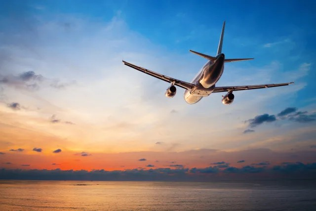 🛫 France : Un scorpion pique un passager sur un vol en provenance du Sénégal 1 🛫 France : Un scorpion pique un passager sur un vol en provenance du Sénégal