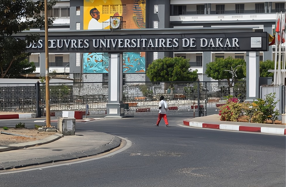 🇸🇳 Cames : l’Ucad enregistre 88,5% de taux de réussite 1 🇸🇳 Cames : l’Ucad enregistre 88,5% de taux de réussite