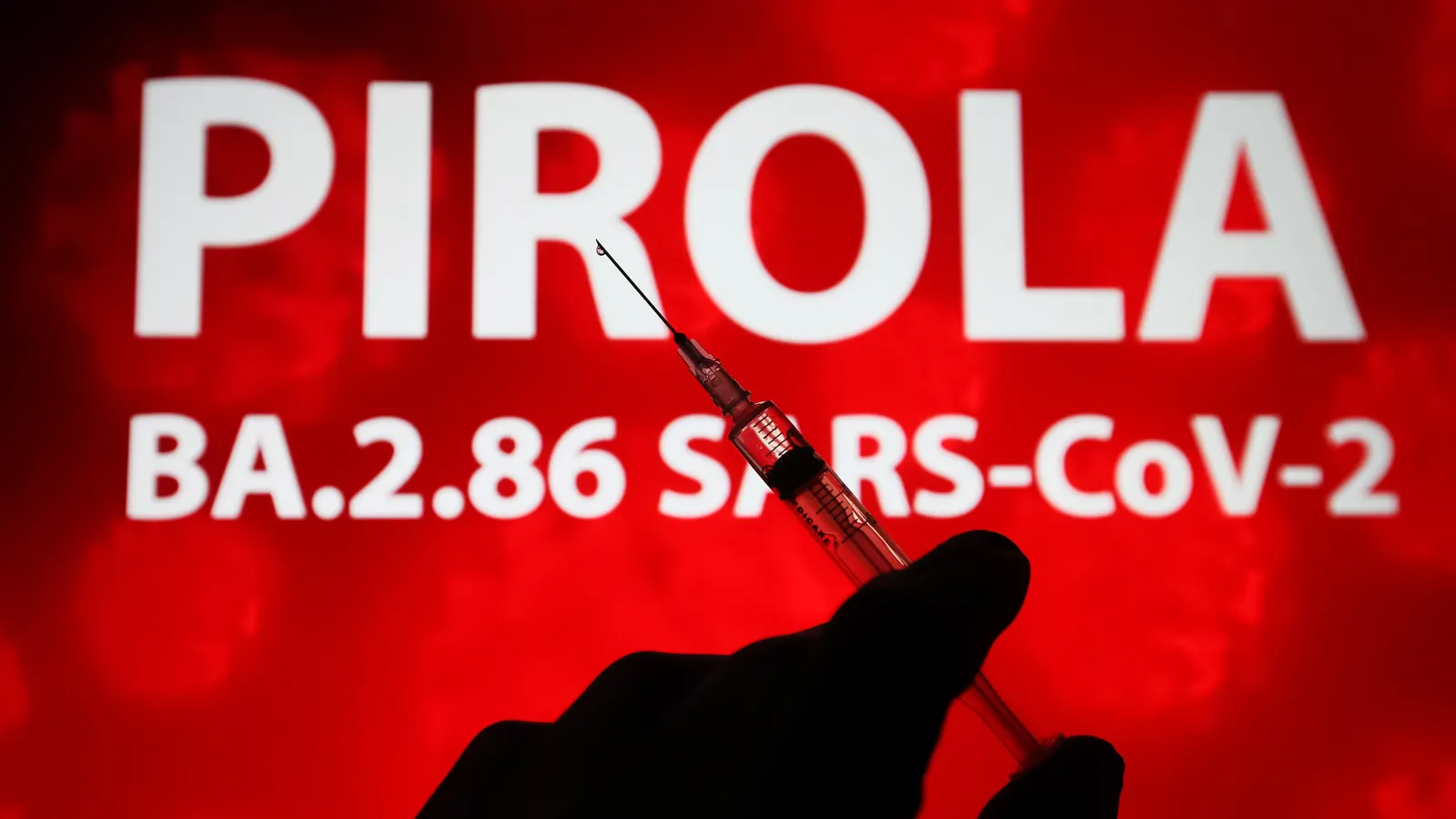🔬 “Plus contagieux”, symptômes: ce qu’il faut savoir sur Pirola, le nouveau variant du Covid-19 1 🔬 “Plus contagieux”, symptômes: ce qu’il faut savoir sur Pirola, le nouveau variant du Covid-19