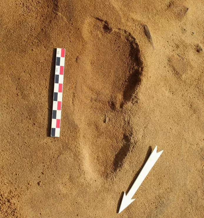 image 36