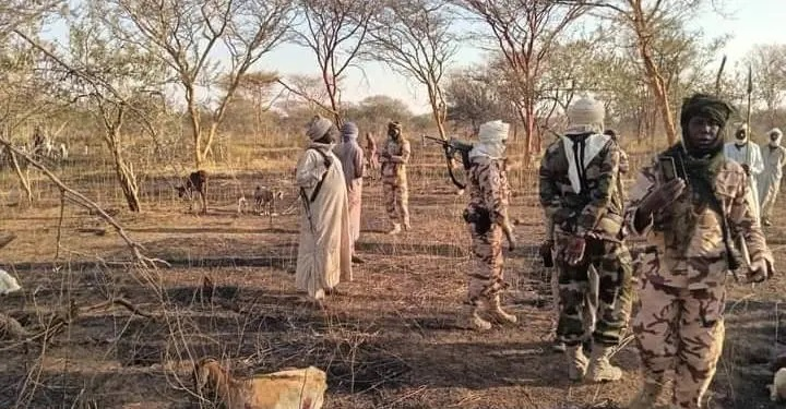 🇹🇩 Conflits Fonciers au Tchad : 42 Morts et 175 Arrestations dans des Affrontements Communautaires