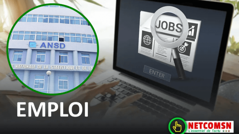 🇸🇳 Emploi au Sénégal : baisse du taux de chômage au quatrième trimestre 2024 (ANSD)