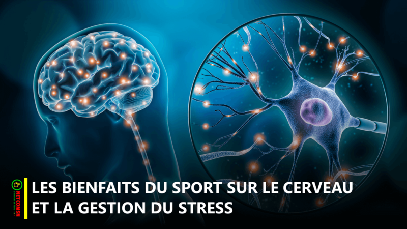 🏃‍♂️ Le sport : un allié puissant pour le cerveau et la gestion du stress