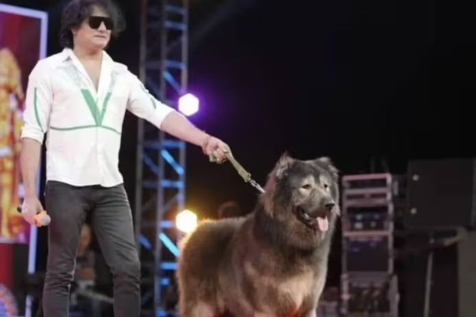 💰 Le chien le plus cher du monde vendu pour une somme astronomique 3 image 162