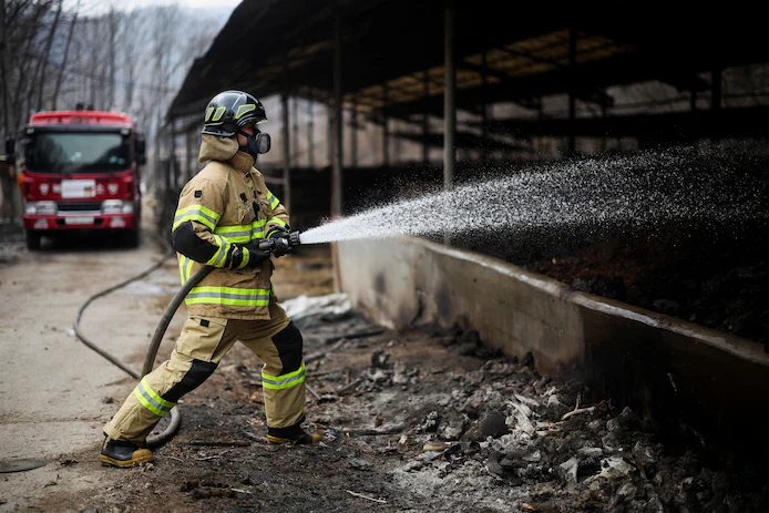 🇰🇷 Corée du Sud : les incendies les plus dévastateurs jamais enregistrés font 26 morts 2 image 263