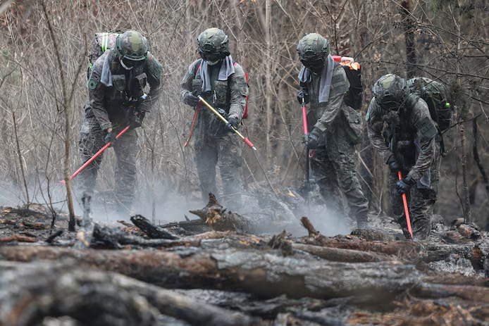 🇰🇷 Corée du Sud : les incendies les plus dévastateurs jamais enregistrés font 26 morts 3 image 264