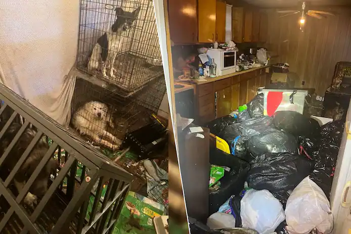 🇺🇲 États-Unis : un bébé vivait au milieu de dizaines d’animaux et d’une chèvre morte, ses parents arrêtés 2 image 244