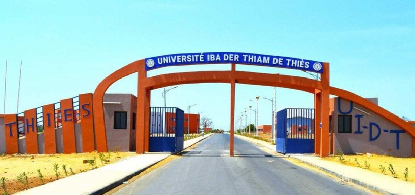 🇸🇳 CAMES 2025 : l’Université Iba Der Thiam de Thiès réalise un sans-faute 1 image 167