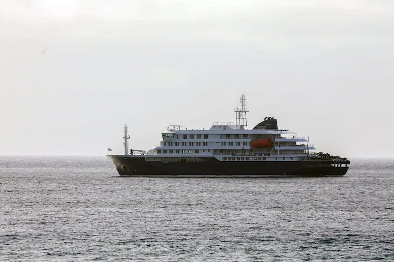 🌍 MV Hondius : le bilan s'alourdit à sept cas de hantavirus et trois décès au large du Cap-Vert 4 image 2 24